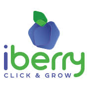 iberry.jpg
