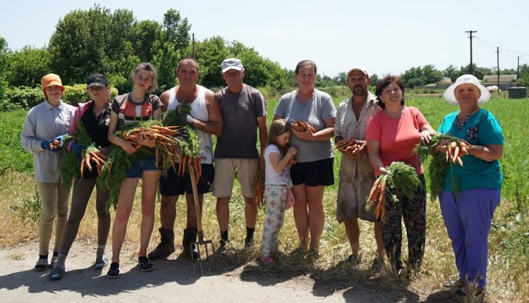 Почти два десятка семей из Голопристанского района объединились, чтобы торговать морковью и редисом
