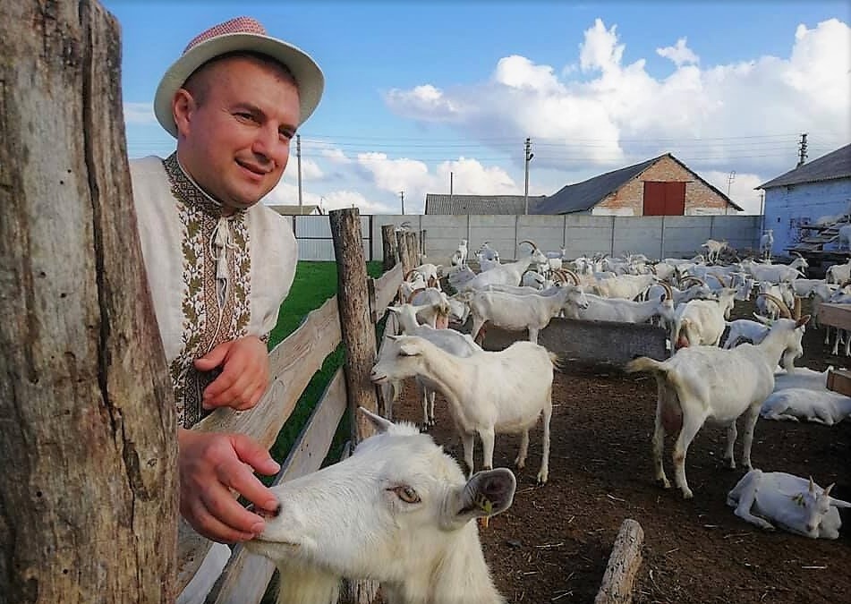 Фото фермеры мужчина с козами Португалия. Фото где везут козу.