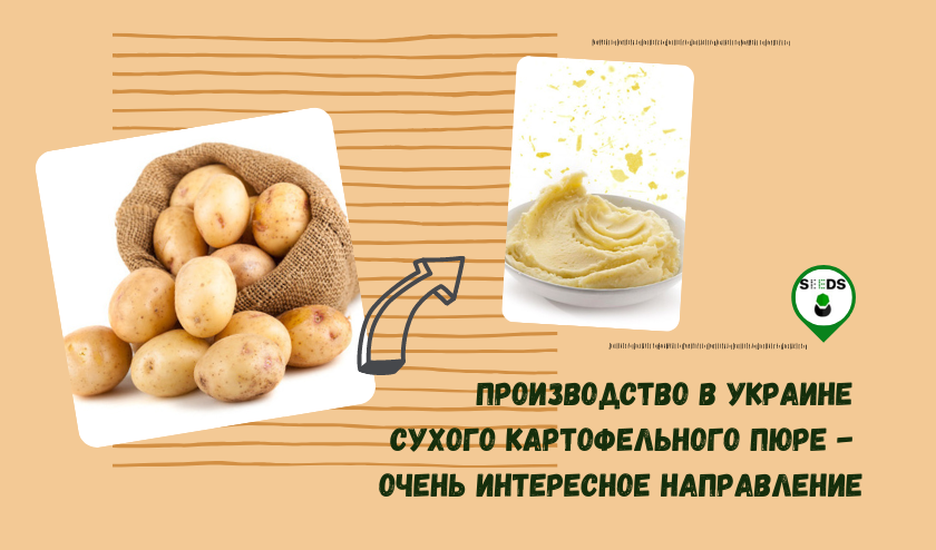 Производство сухого картофельного пюре. Сушеный картофель. Сухое картофельное пюре схема. Сухая картошка полосками.