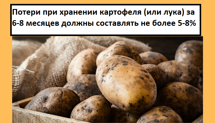 Сохранение качественных характеристик картофеля — на что нужно обращать .