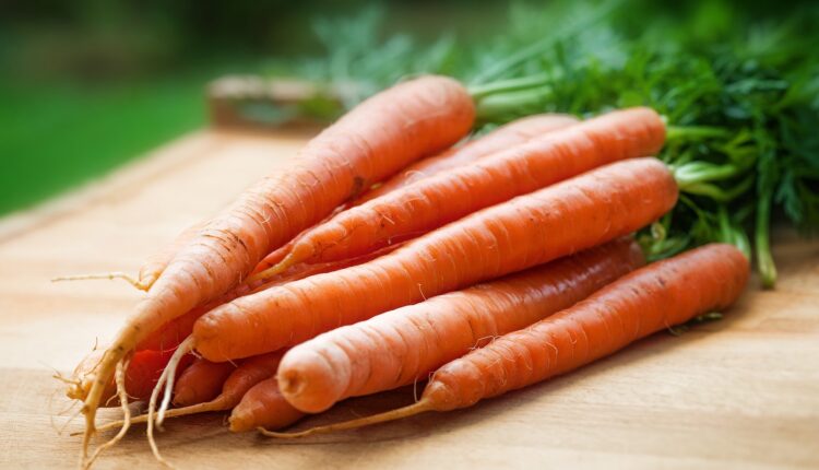 мита морква